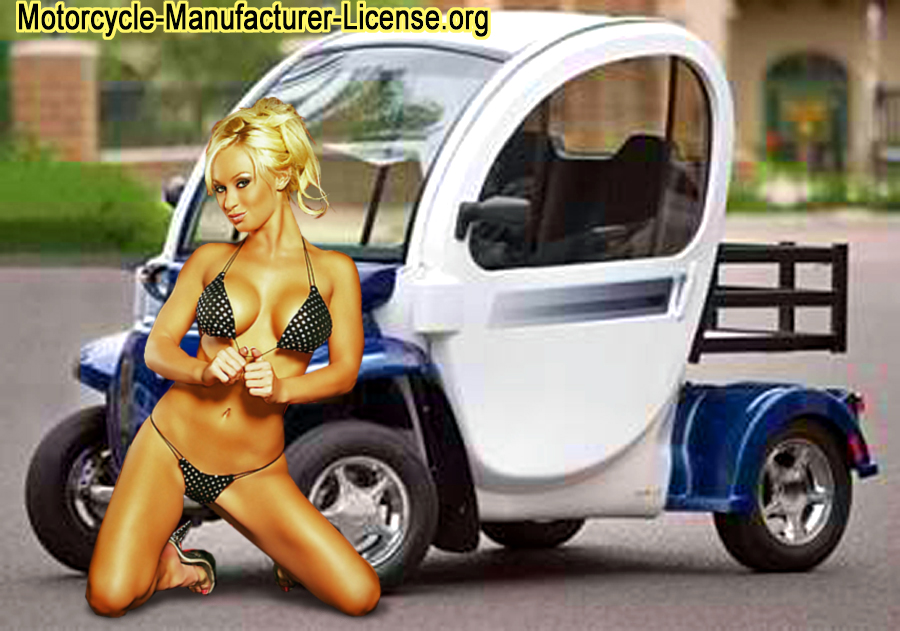 Electric Car LSV